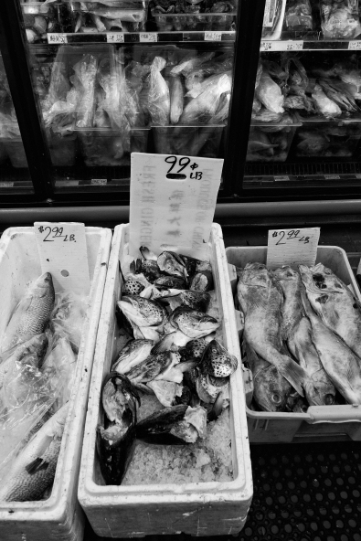 Fish by the Pound (Chinatown Hustle Series), Oakland CA, Fall 2016.
